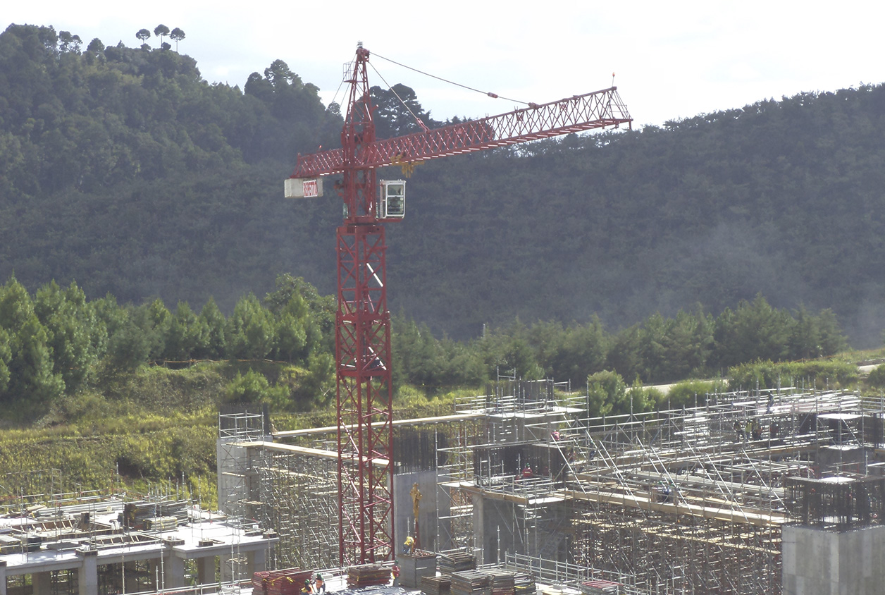 Torre grúa para proyectos industriales 